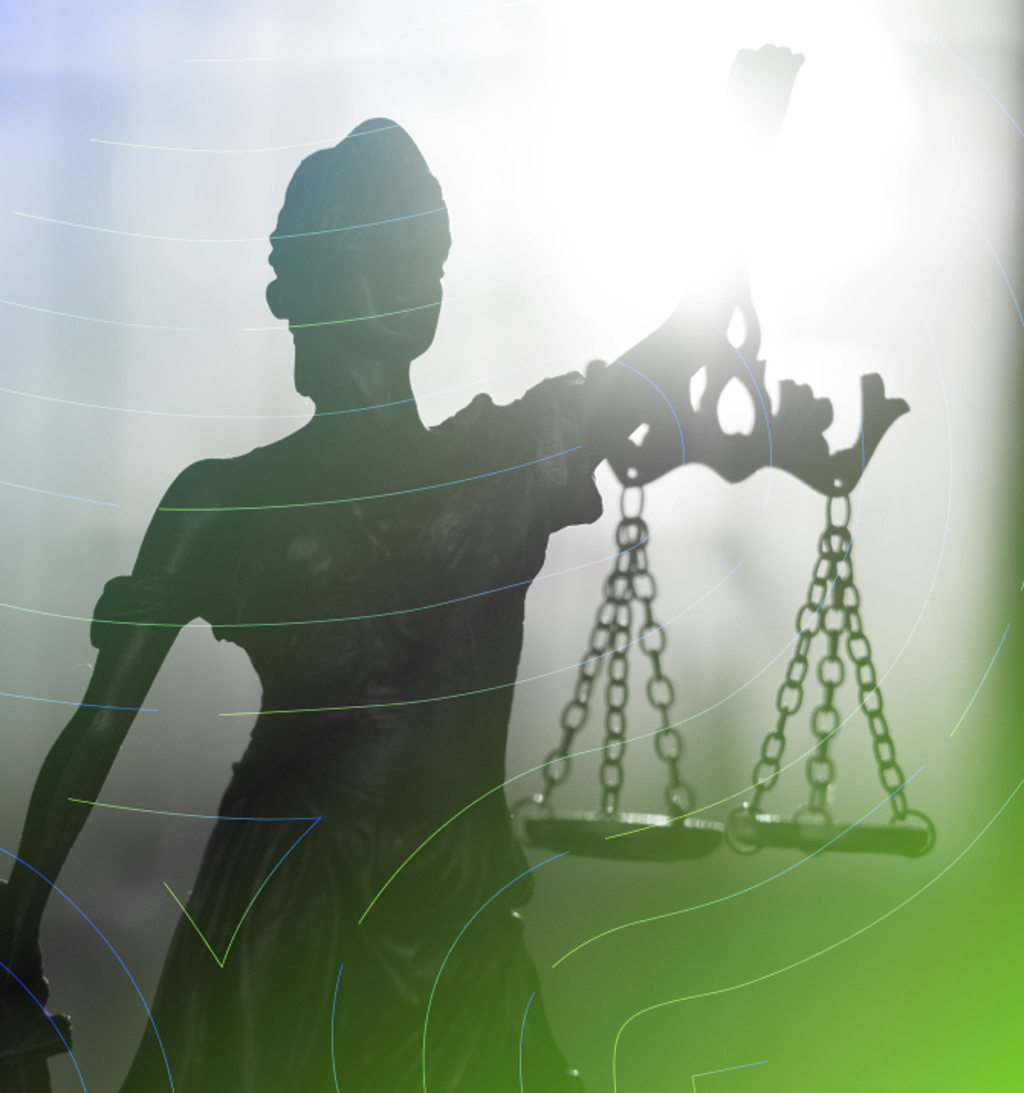 LITIGATION SUPPORT