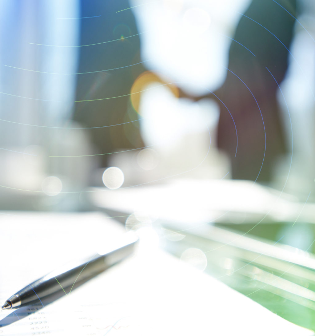 DUE DILIGENCE & ASSET SEARCHES